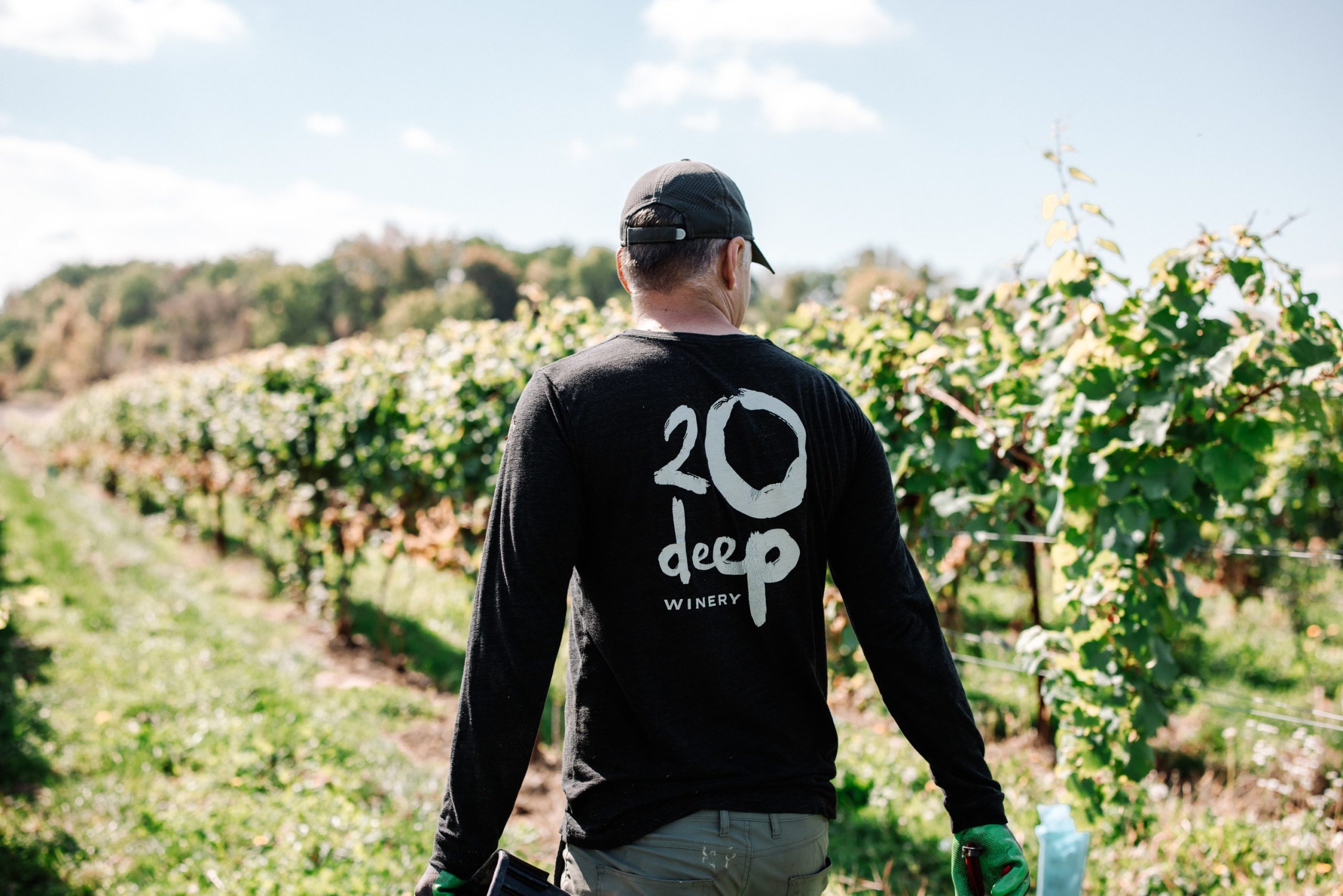 20 Deep Winery Vineyard 20 Deep Winery Vineyard