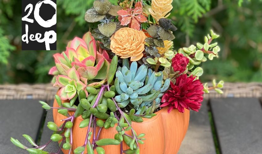 Fall Planter Class at 20 Deep Winery